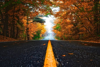 Road during autumn with leaves