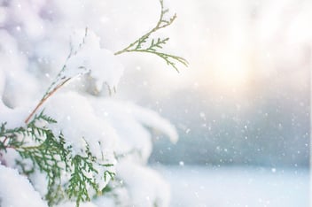 Holidays with DTS Connex